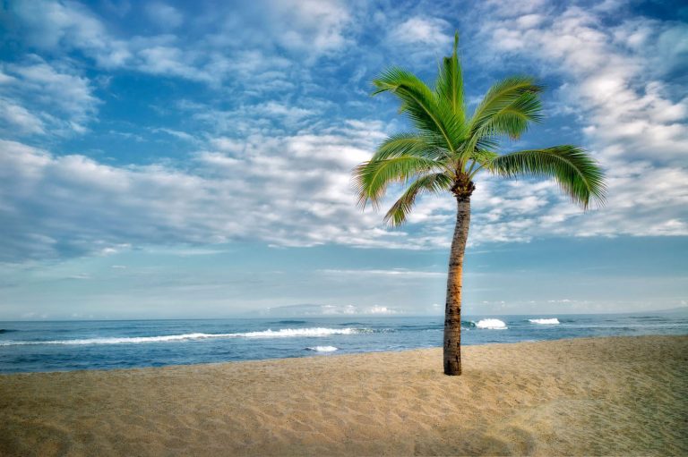 Etika Berkunjung ke Pantai yang Perlu Diperhatikan