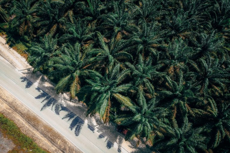 Logam Misterius di Kebun Sawit Kalteng Ternyata Puing Roket China