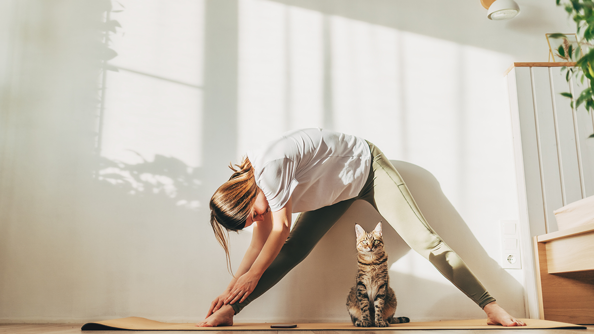Seseorang mereregangkan tubuh di dalam ruangan pada pagi hari