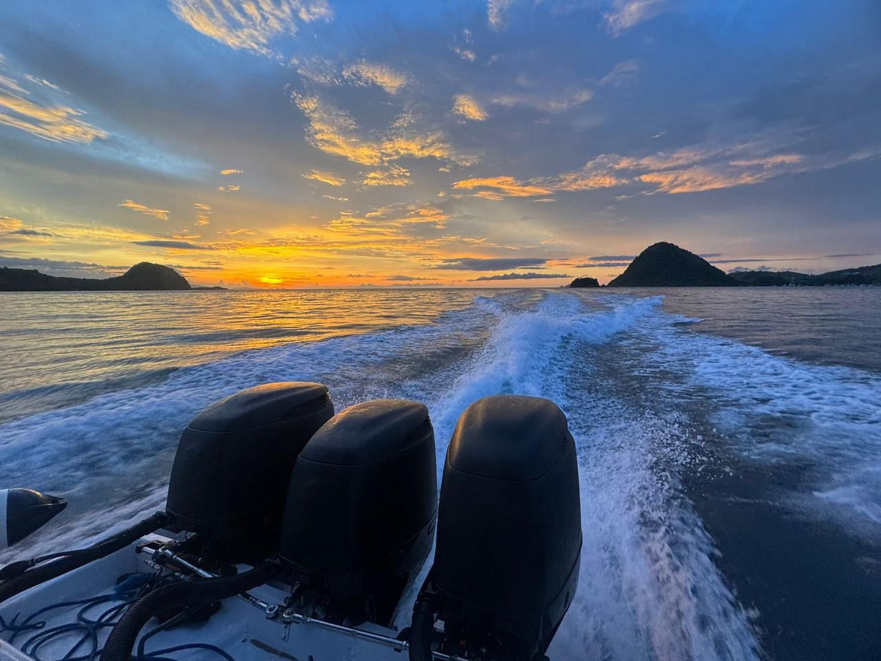 Komodo di pulau habitatnya di Taman Nasional Komodo