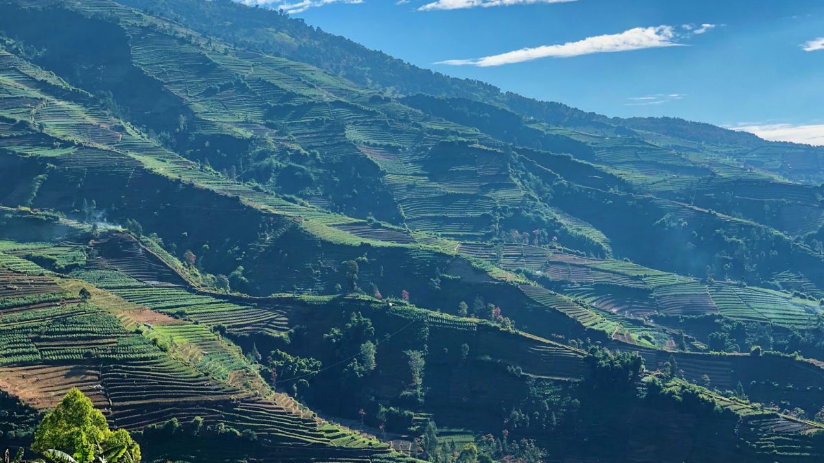 Panorama dataran tinggi Dieng dengan hamparan lahan pertanian