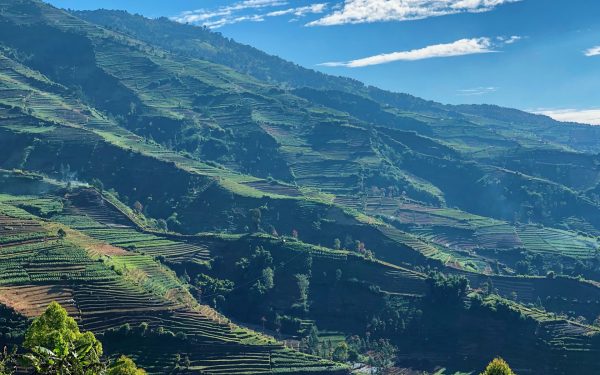 Panorama dataran tinggi Dieng dengan hamparan lahan pertanian